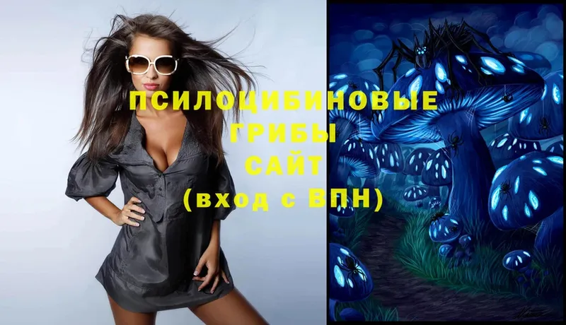 Галлюциногенные грибы Magic Shrooms  Долинск 